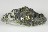 Chalcopyrite, Pyrite and Quartz Association - Peru #187341-1